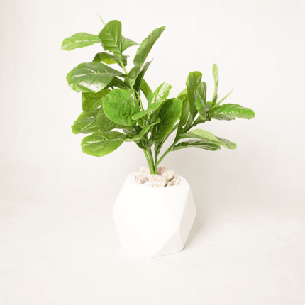 Ficus artificiel en pot géométrique blanc – Petite plante déco intérieure moderne