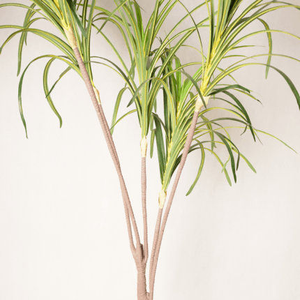 Plante Artificielle Dracaena Marginata – Style Tropical