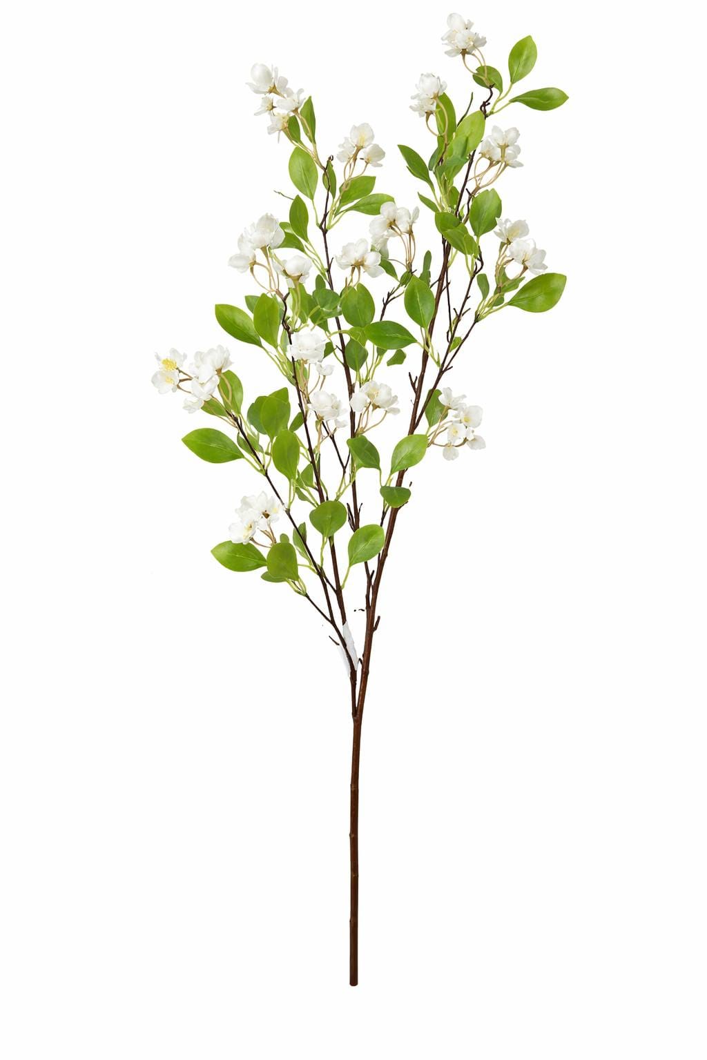 1000024547.png.upload