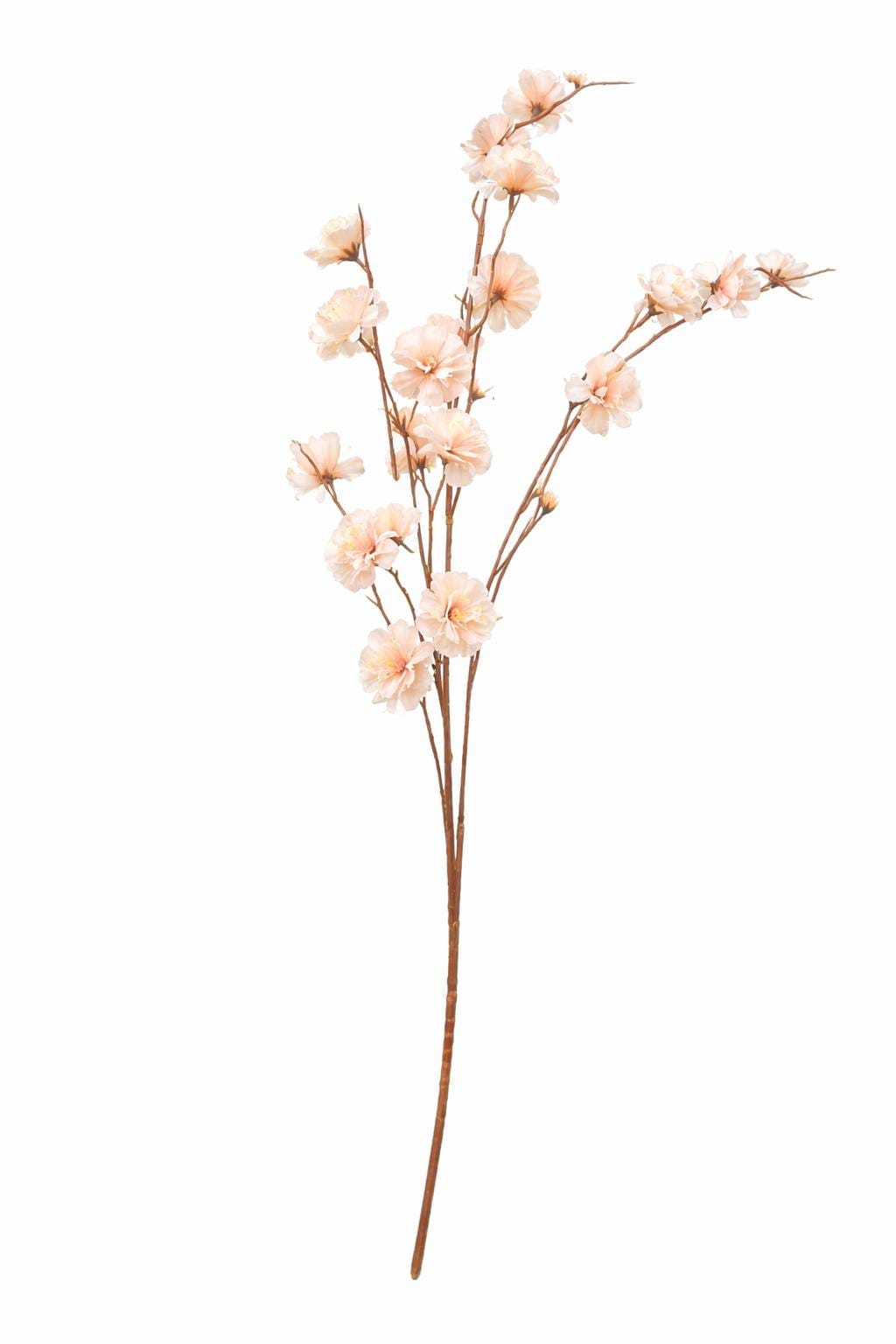 1000024558.png.upload