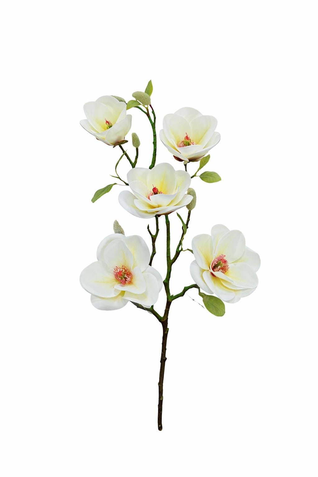 1000024563.png.upload