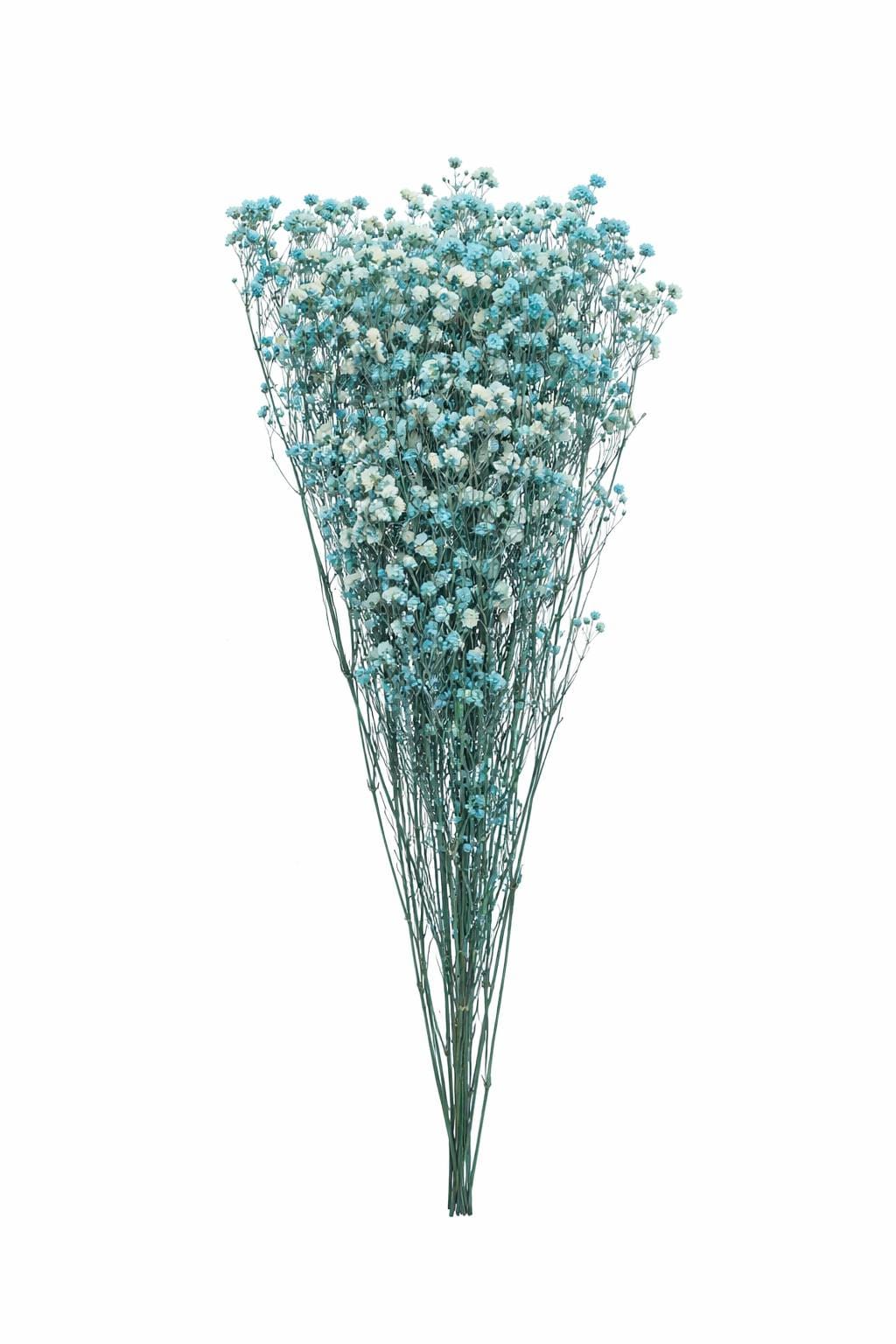 1000024620.png.upload