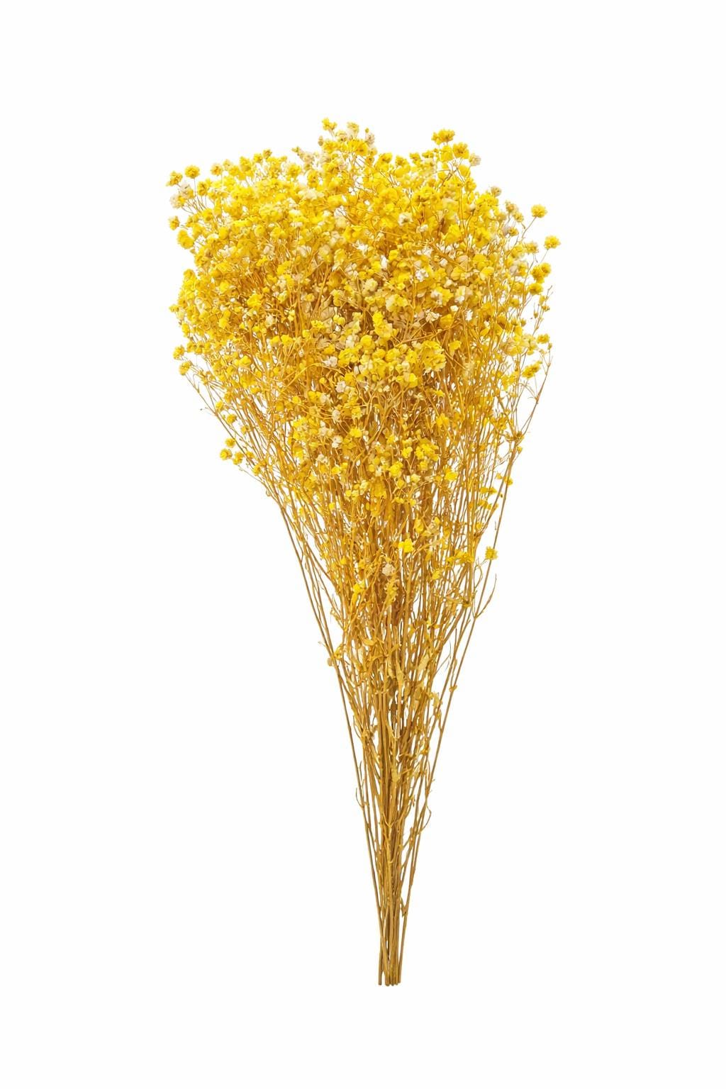 1000024621.png.upload