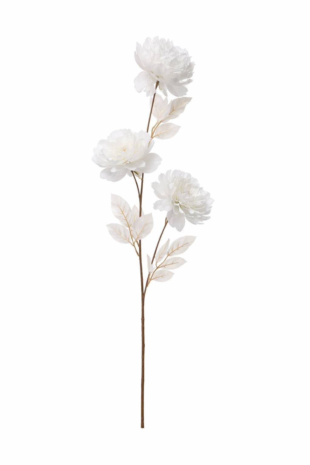 1000024865.png.upload