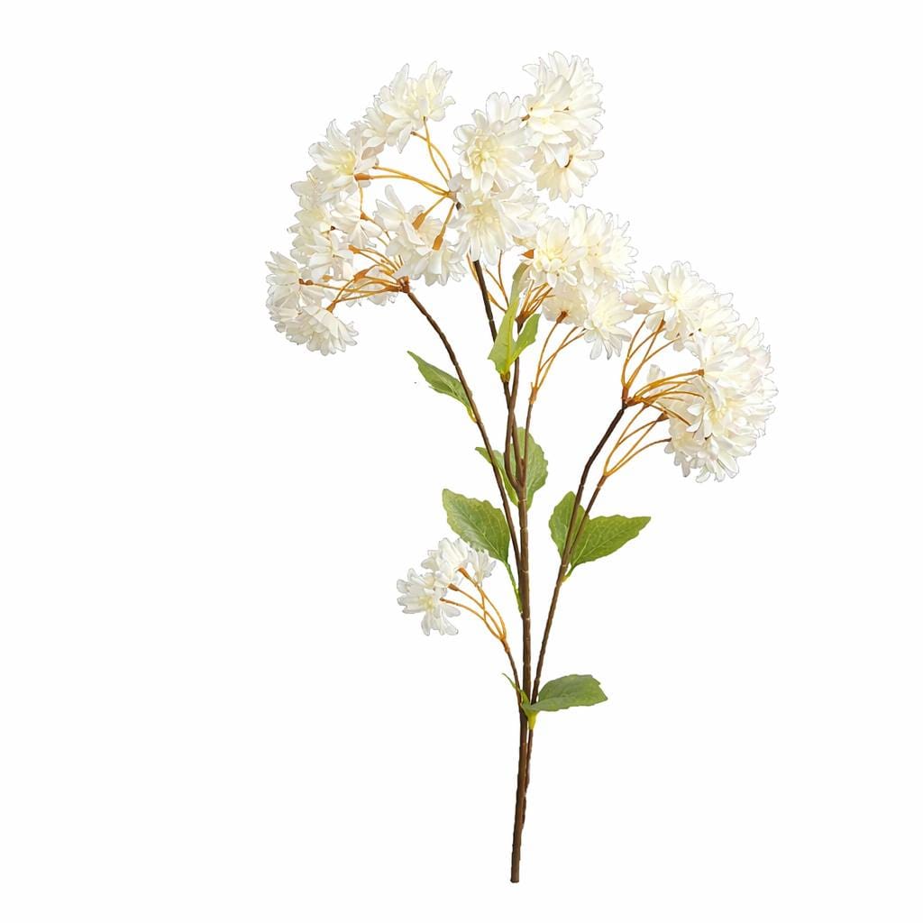 1000025146.png.upload