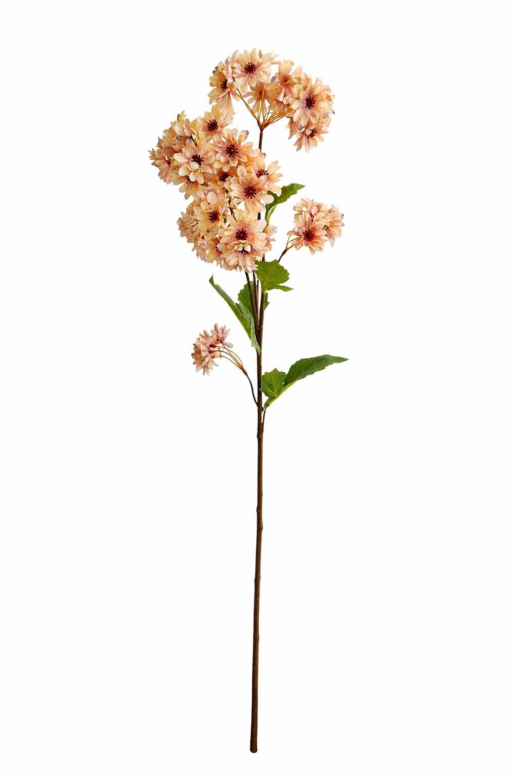 1000025151.png.upload