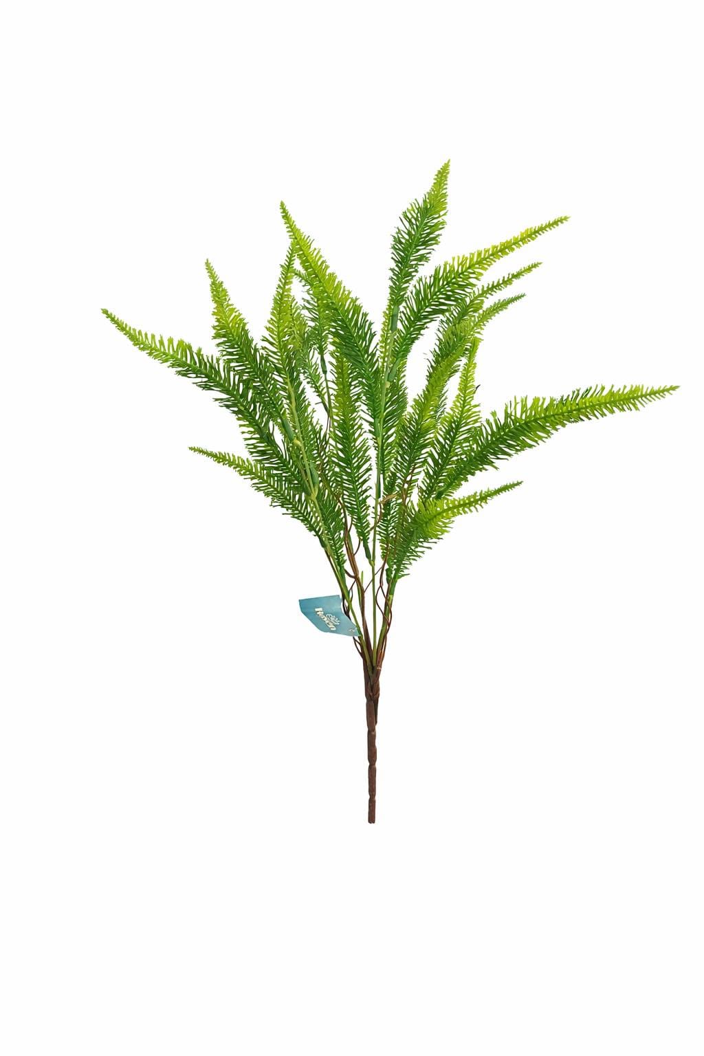 1000025155.png.upload