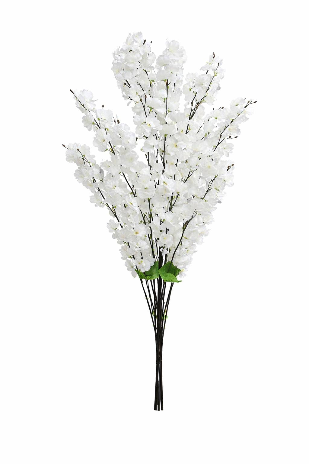 1000025242.png.upload