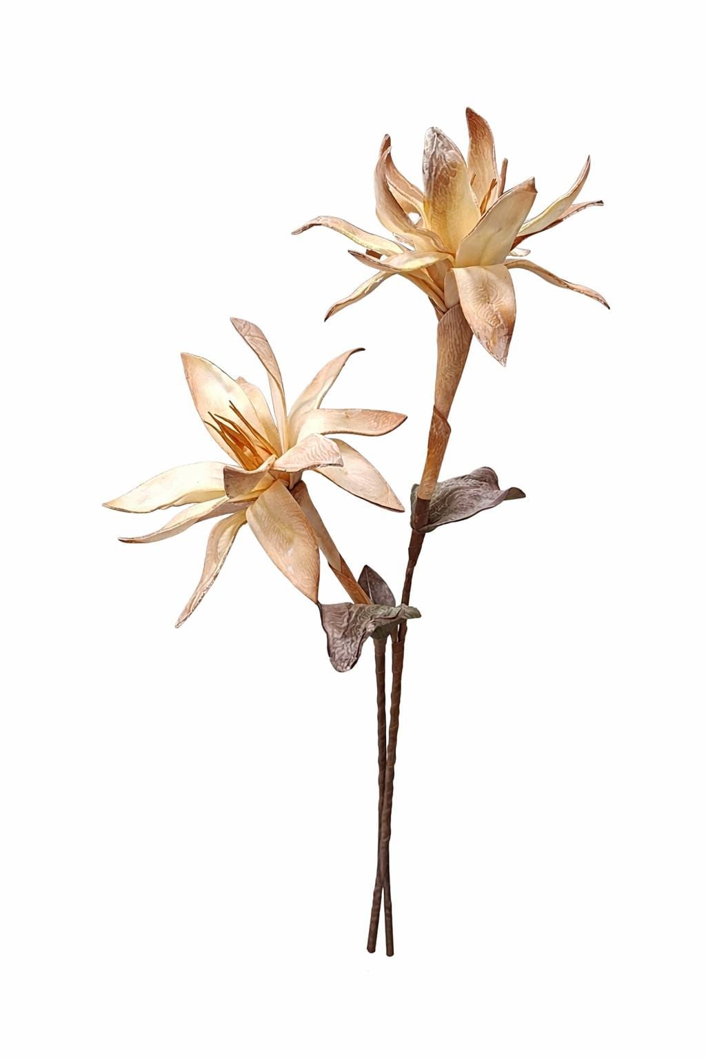 1000025243.png.upload