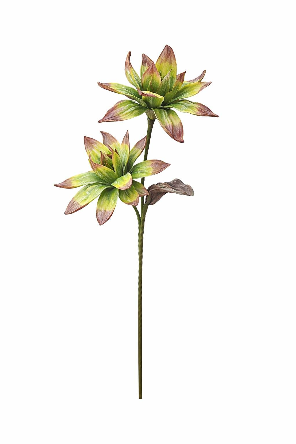 1000025284.png.upload