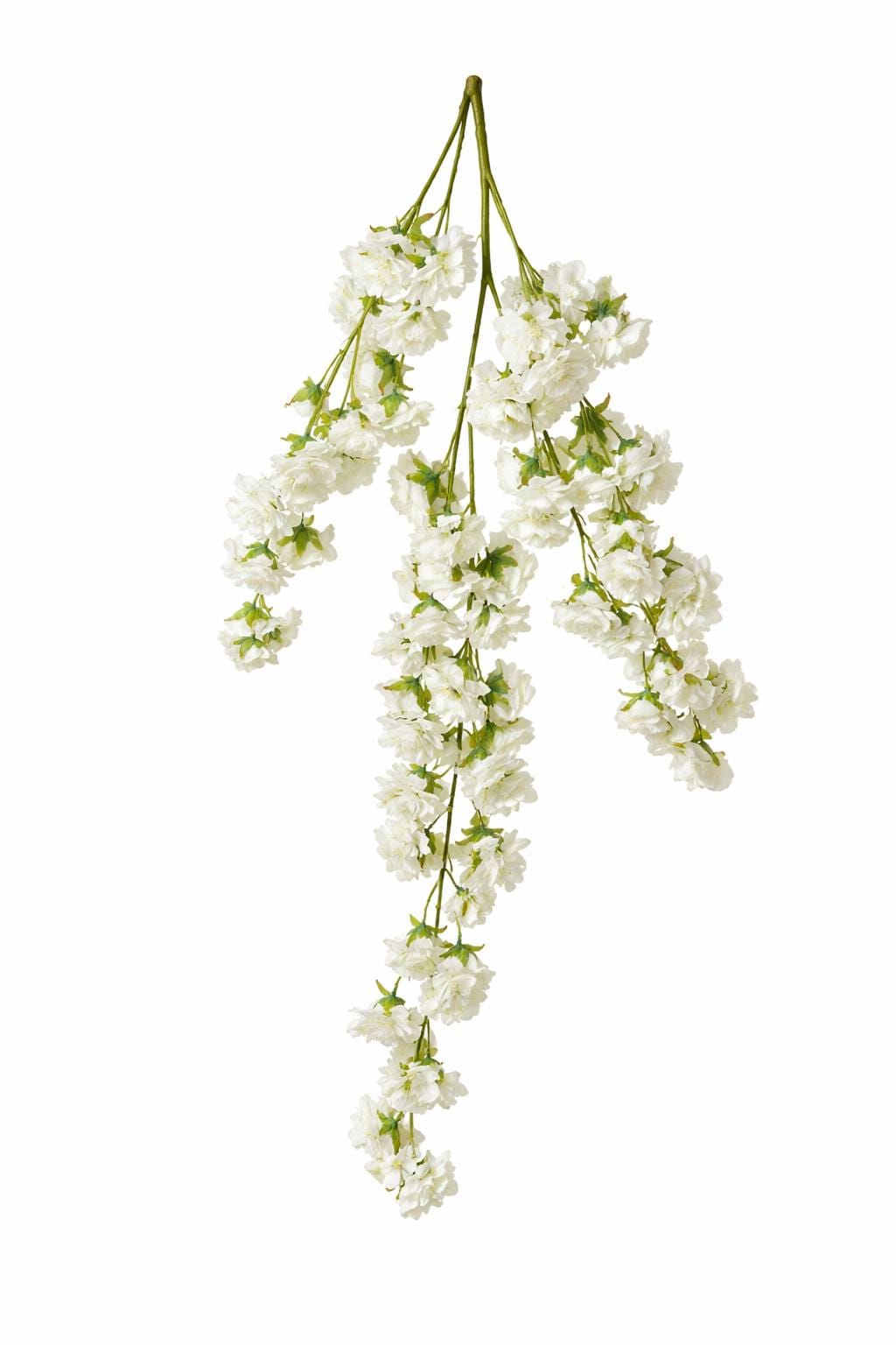 1000025375.png.upload