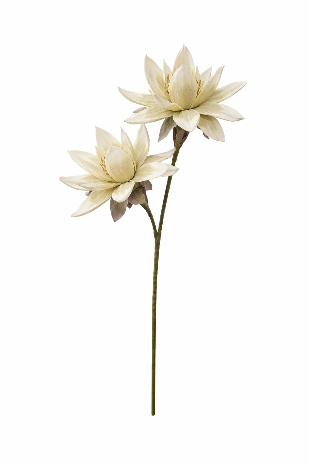 1000025390.png.upload