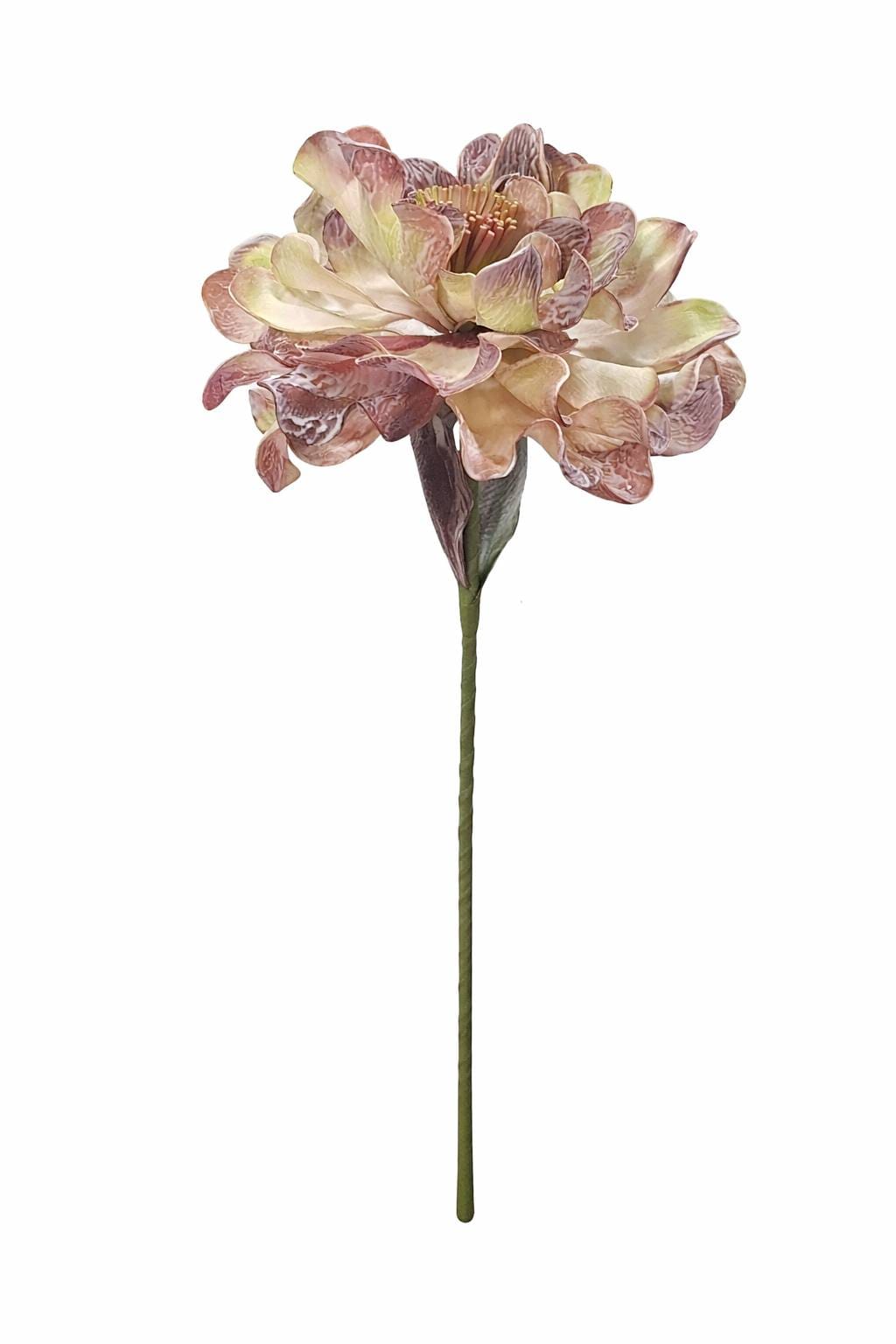 1000025391.png.upload