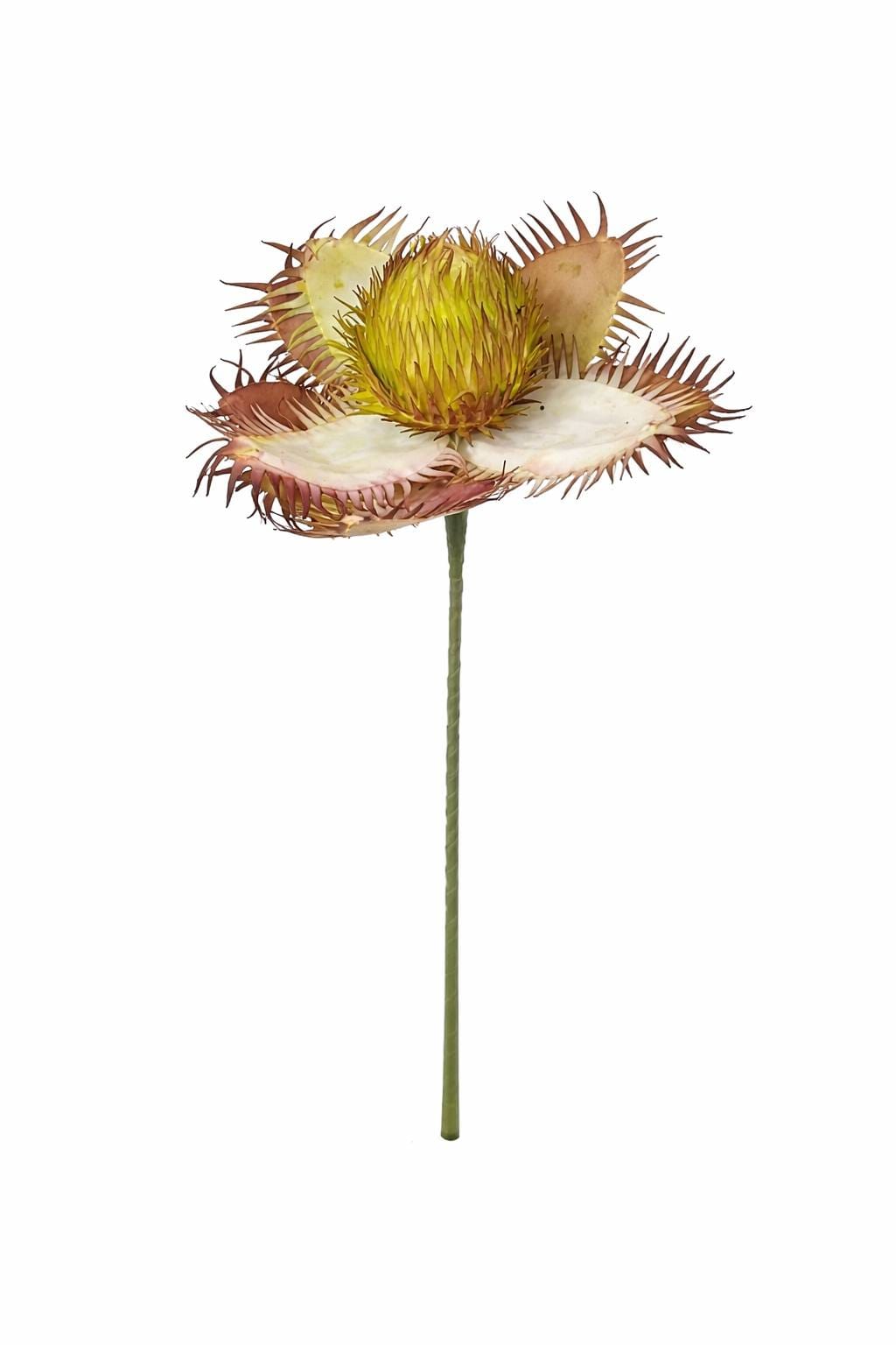 1000025393.png.upload