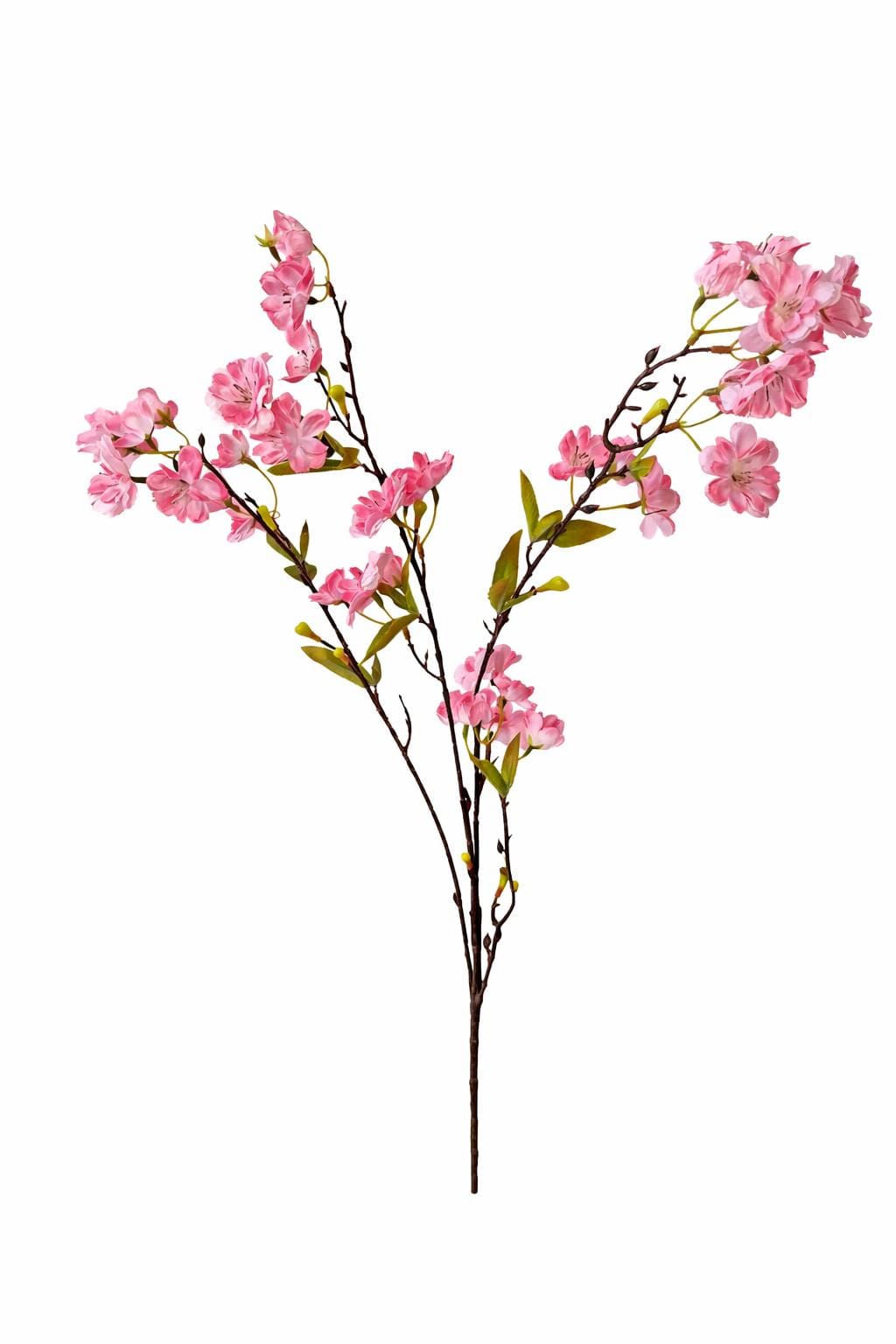 1000025397.png.upload