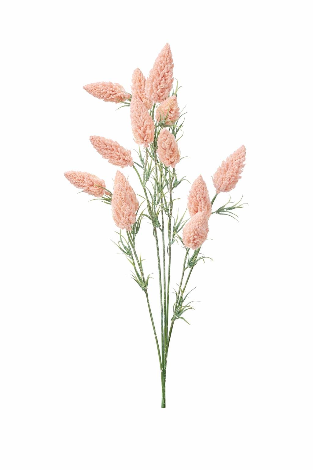 1000025495.png.upload